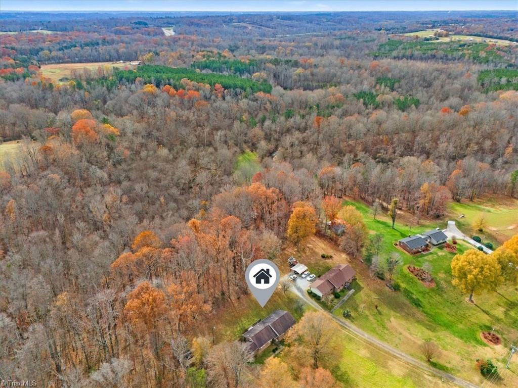 830 Worsham Mill Road Ruffin, NC 27326 - Photo 17 of 19