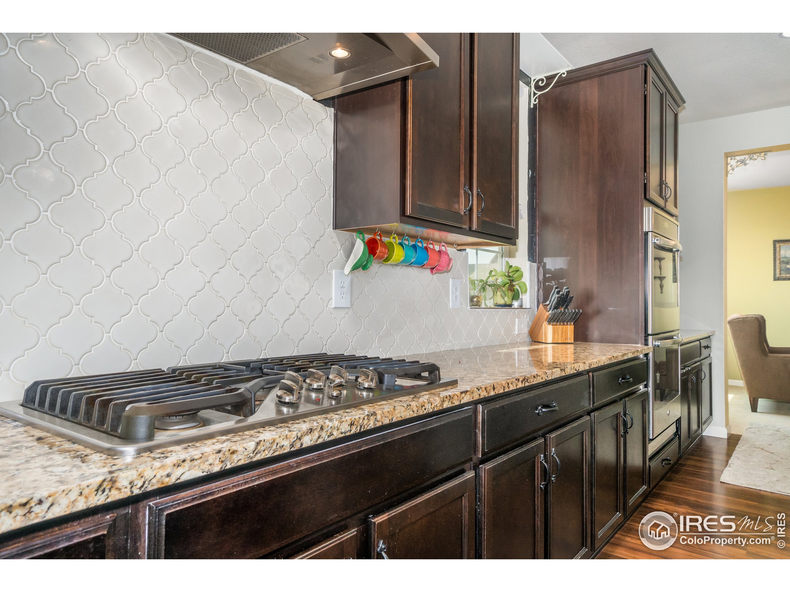 9050 Foxfire Street Firestone, CO 80504 - Photo 9 of 40