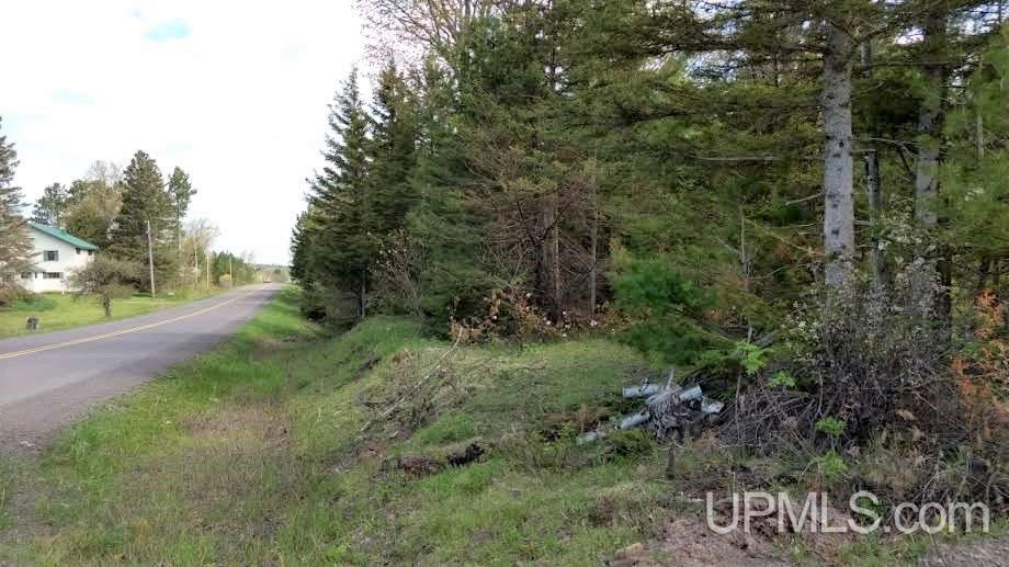 Tbd Boundary Road Chassell, MI 49931 - Photo 10 of 15