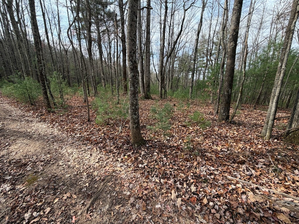 Tbd Caution Tape Road Cana, VA 24317 - Photo 17 of 27 Gallery Image 17