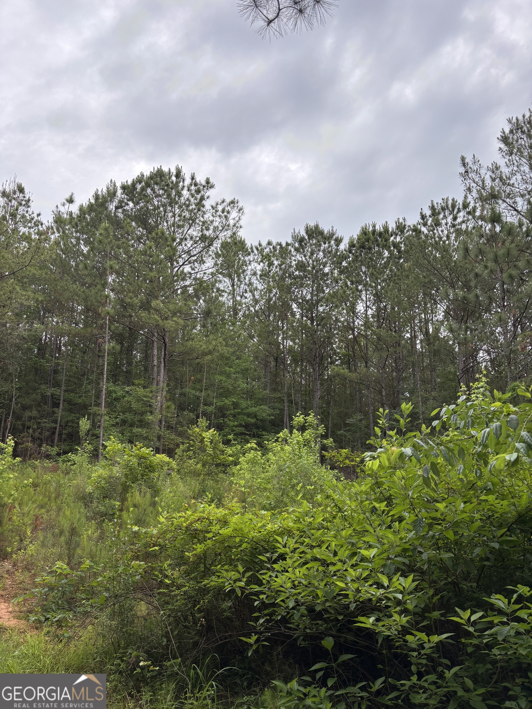 0 County Road 193 Valley, AL 36854 - Photo 11 of 23