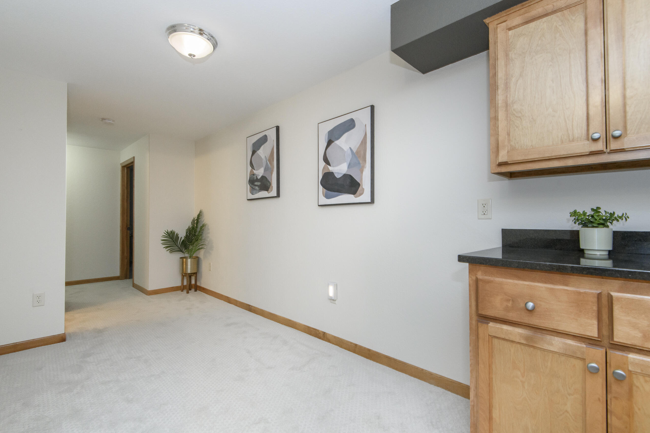 2217 Deer Path Waukesha, WI 53189 - Photo 41 of 54 Rec Room on Lower Level