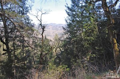 0 Schimans Road Willits, CA 95490 - Photo 1 of 5 Gallery Image 1