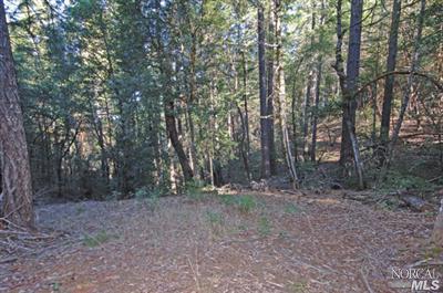 0 Schimans Road Willits, CA 95490 - Photo 3 of 5 Gallery Image 3