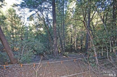 0 Schimans Road Willits, CA 95490 - Photo 4 of 5 Gallery Image 4