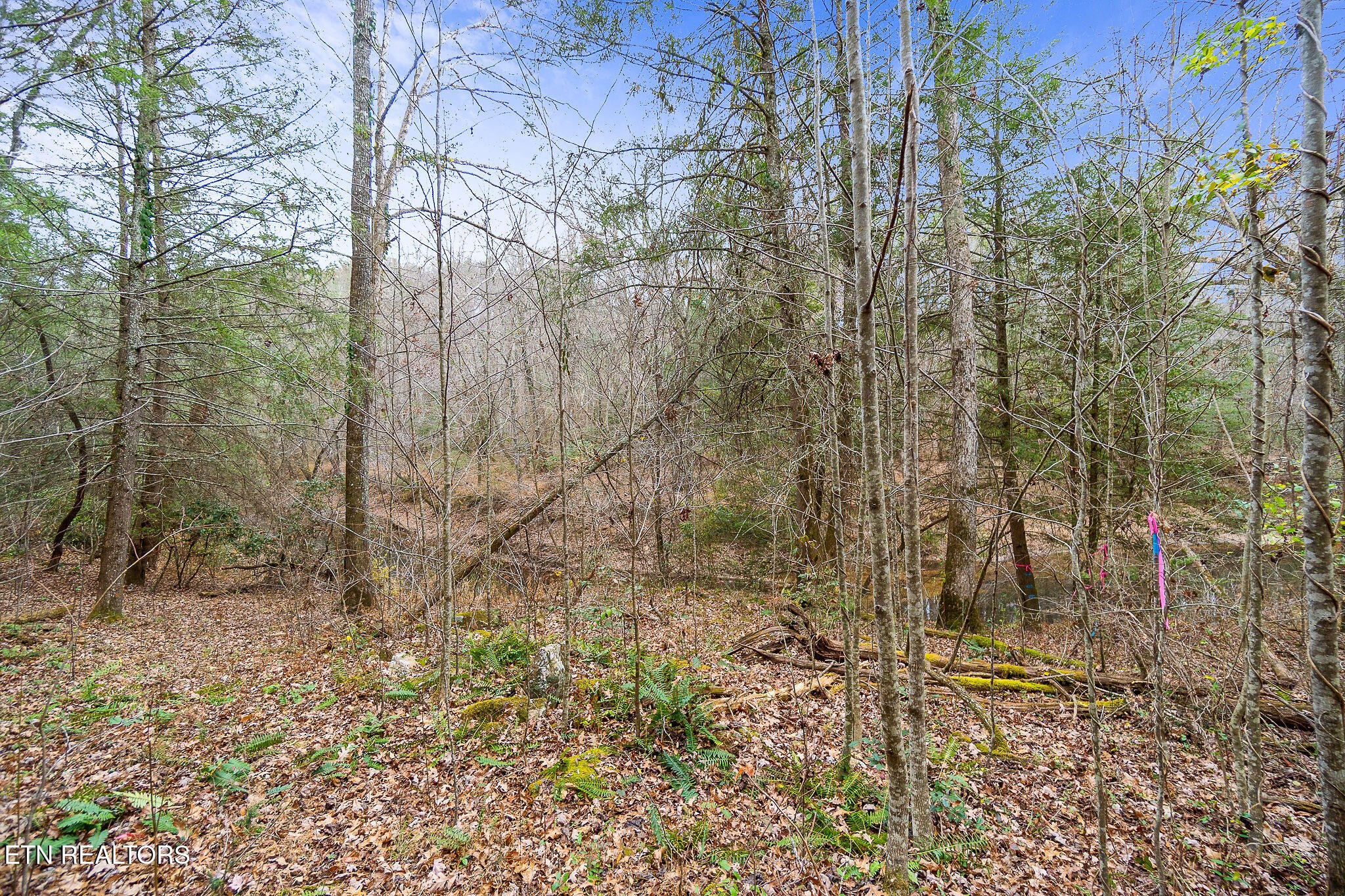 364 Open Range Road Crossville, TN 38555 - Photo 16 of 27 Gallery Image 16