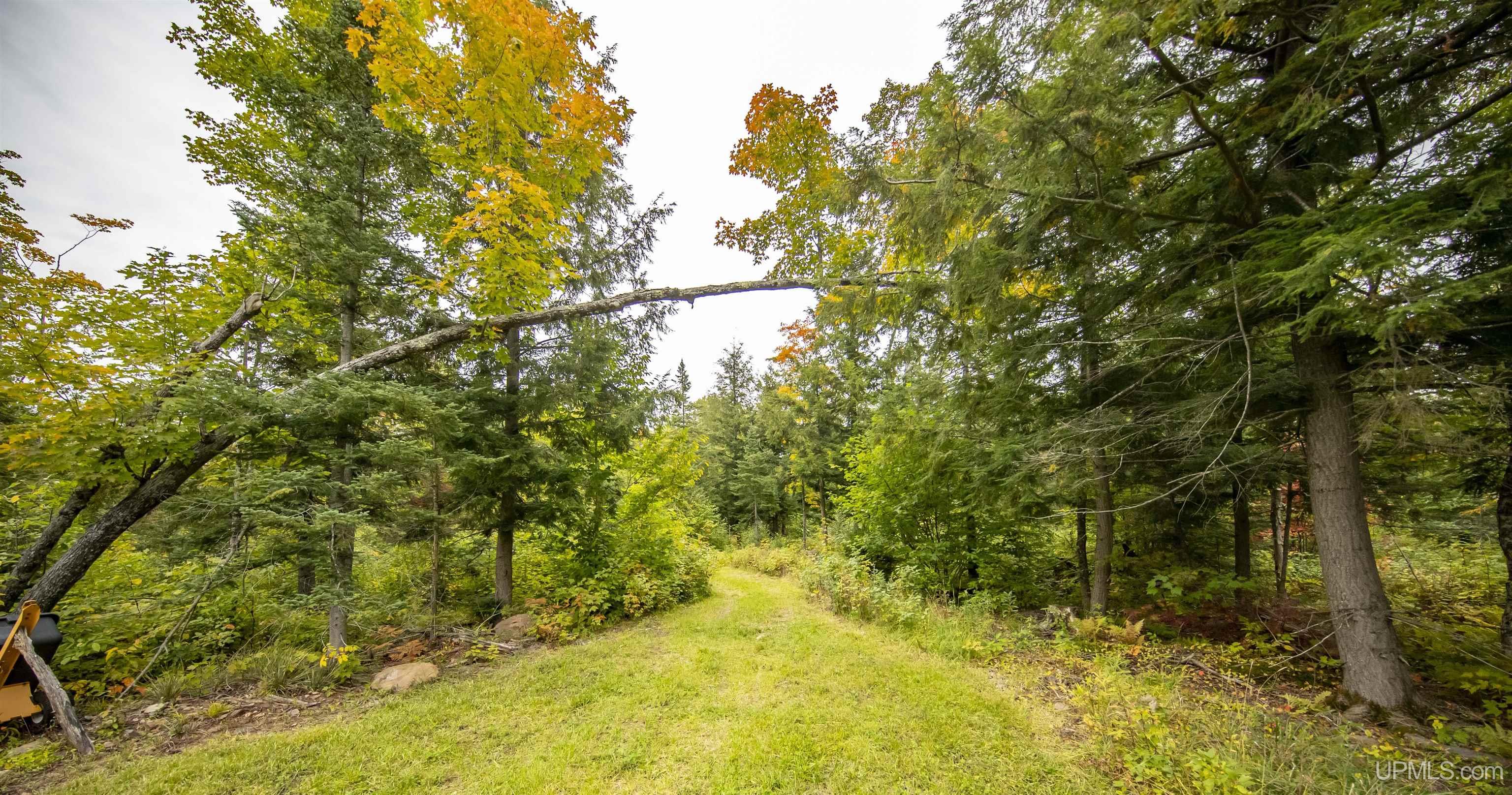 8450 Van Buskirk Road Ironwood, MI 49938 - Photo 72 of 83