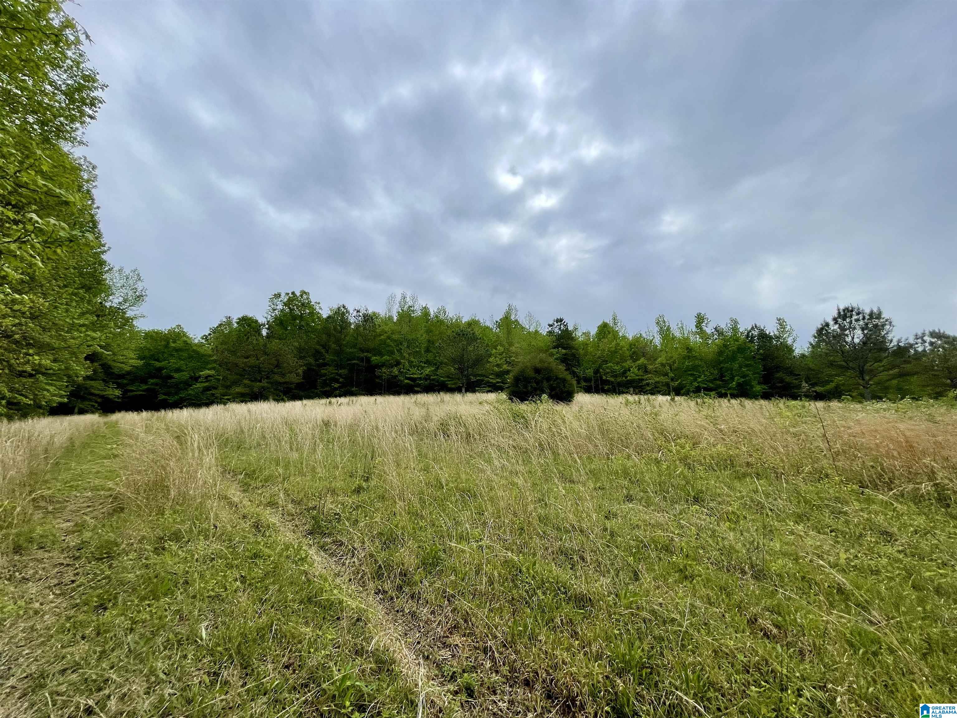 3927 Brazel Mill Road Altoona, AL 35952 - Photo 10 of 21