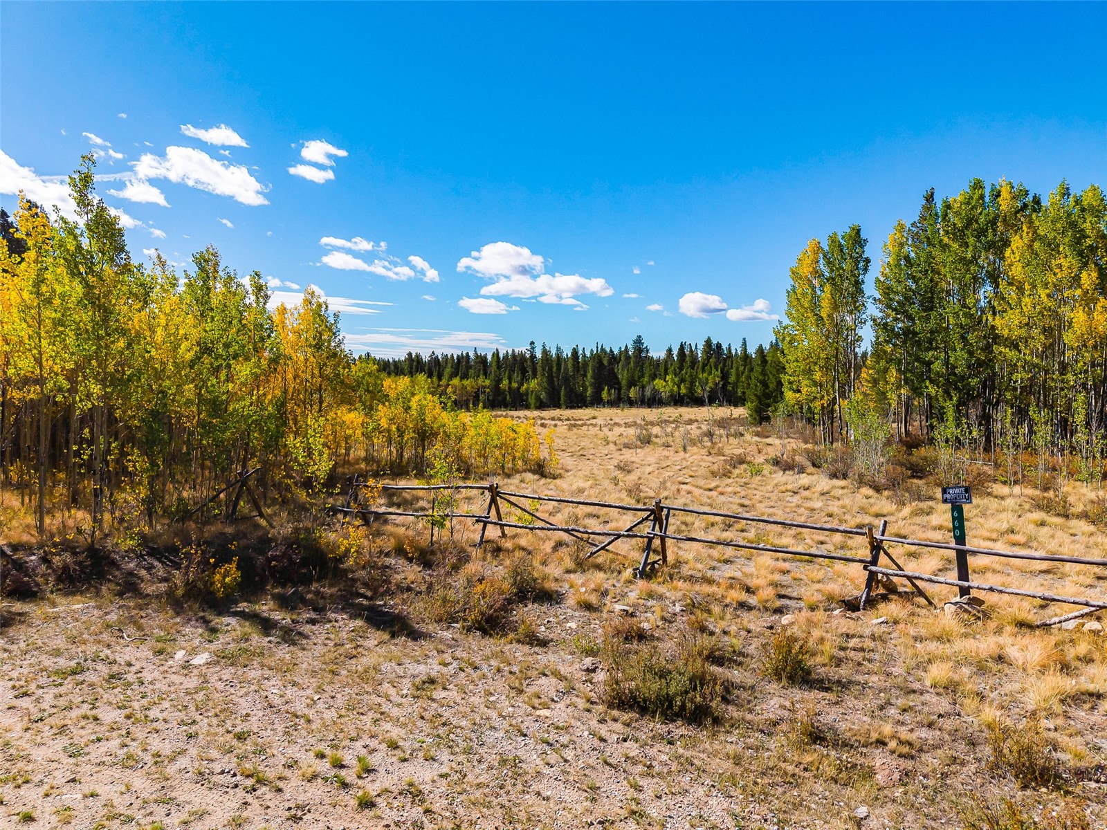 660 Renshaw Road Fairplay, CO 80440 - Photo 7 of 40 Gallery Image 7