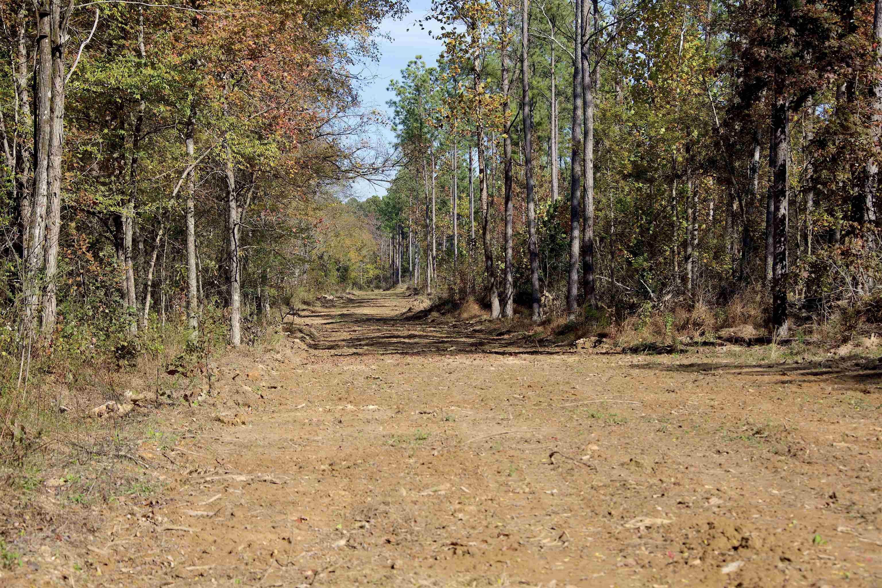 460 Clifft Road Bolivar, TN 38008 - Photo 11 of 17 a view of a backyard of the house