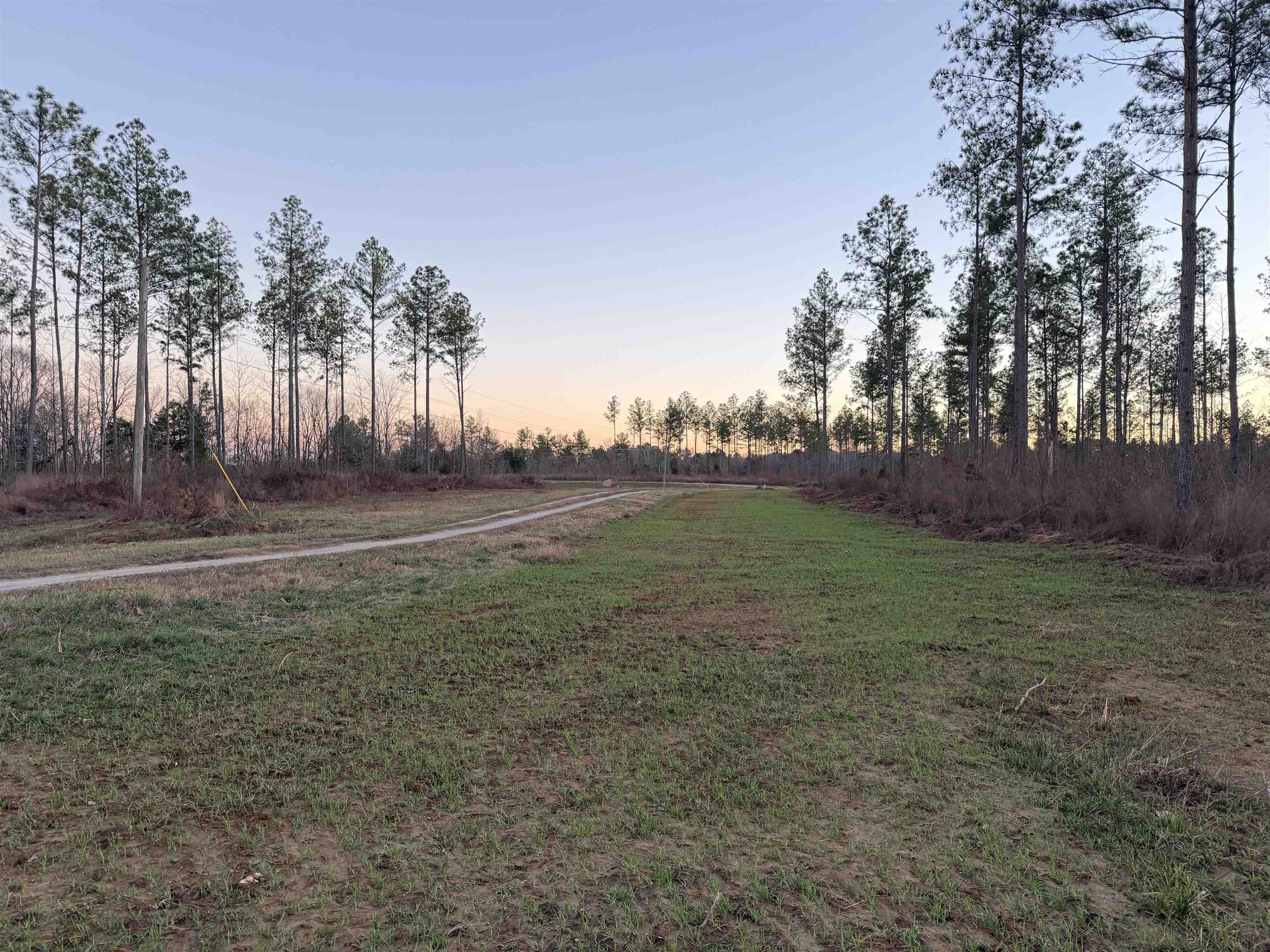 460 Clifft Road Bolivar, TN 38008 - Photo 12 of 17 a view of outdoor space with garden and trees
