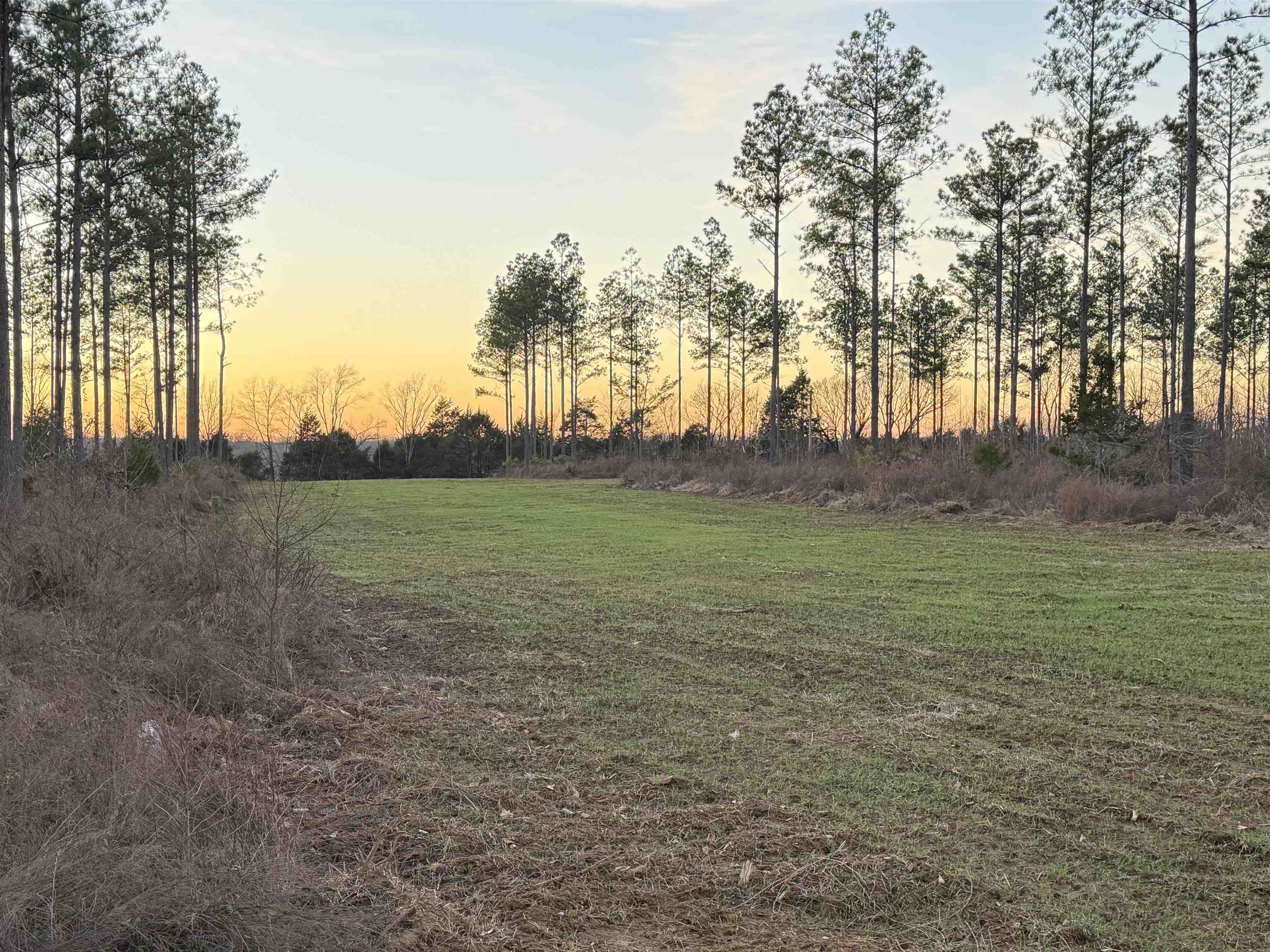 460 Clifft Road Bolivar, TN 38008 - Photo 13 of 17 a view of an outdoor space