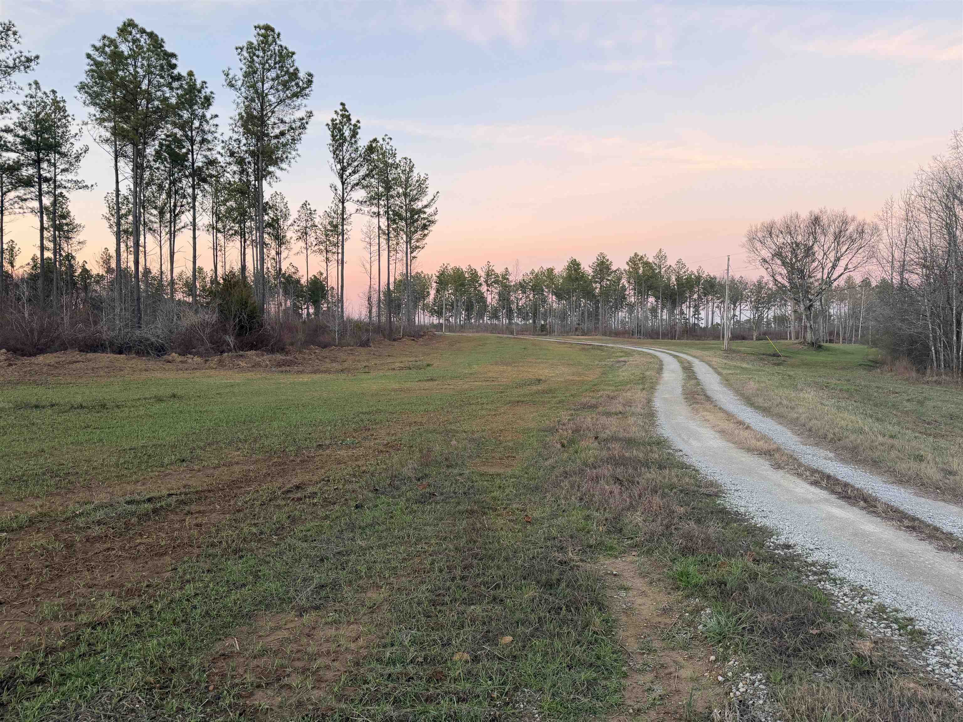 460 Clifft Road Bolivar, TN 38008 - Photo 14 of 17 a view of a lake with houses in the back