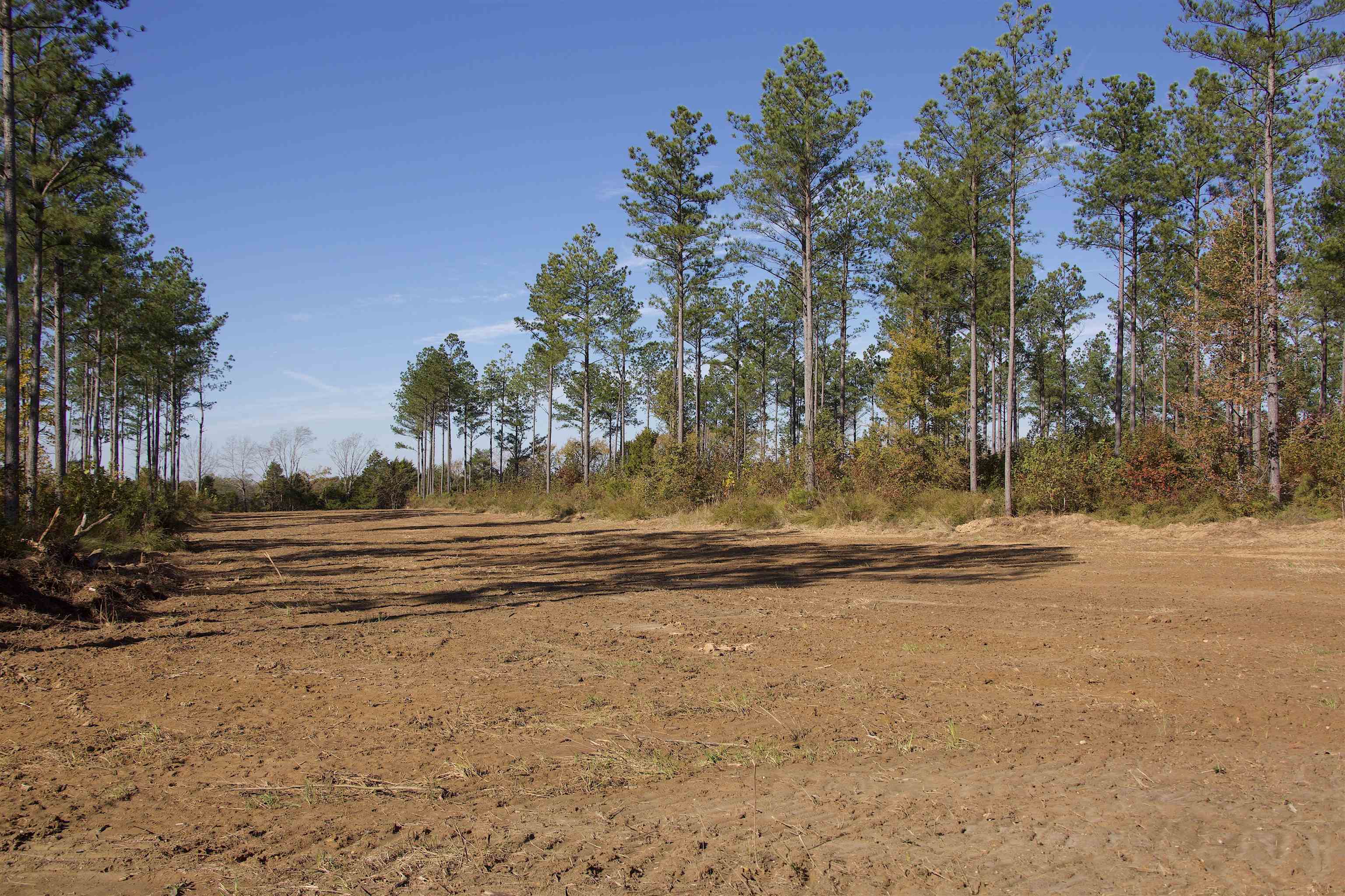 460 Clifft Road Bolivar, TN 38008 - Photo 4 of 17 a view of beach and trees