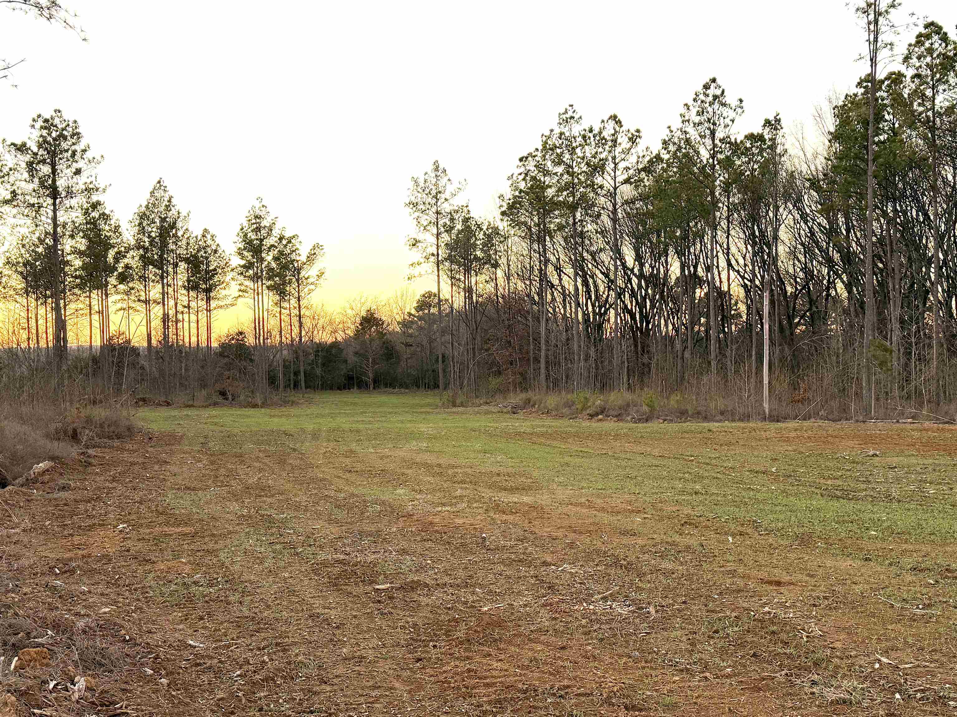 460 Clifft Road Bolivar, TN 38008 - Photo 9 of 17 a view of a yard
