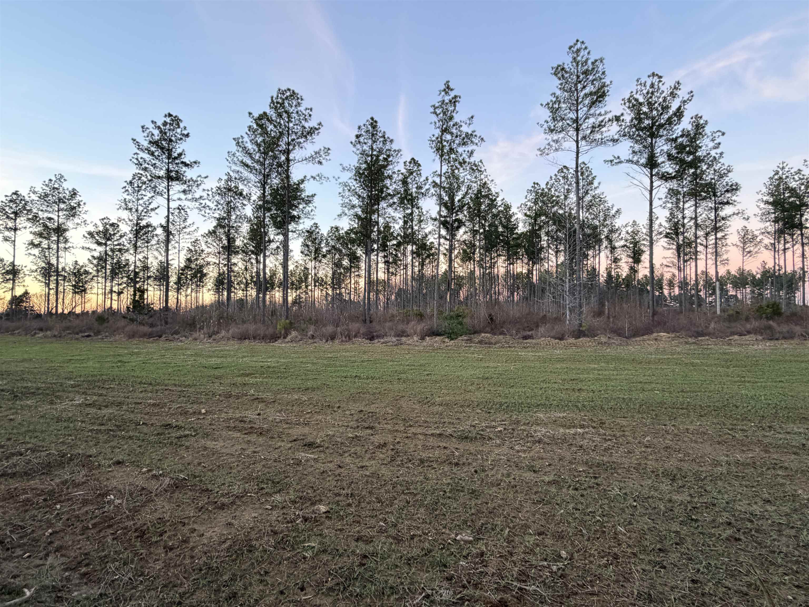 460 Clifft Road Bolivar, TN 38008 - Photo 10 of 17 a view of outdoor space with green field