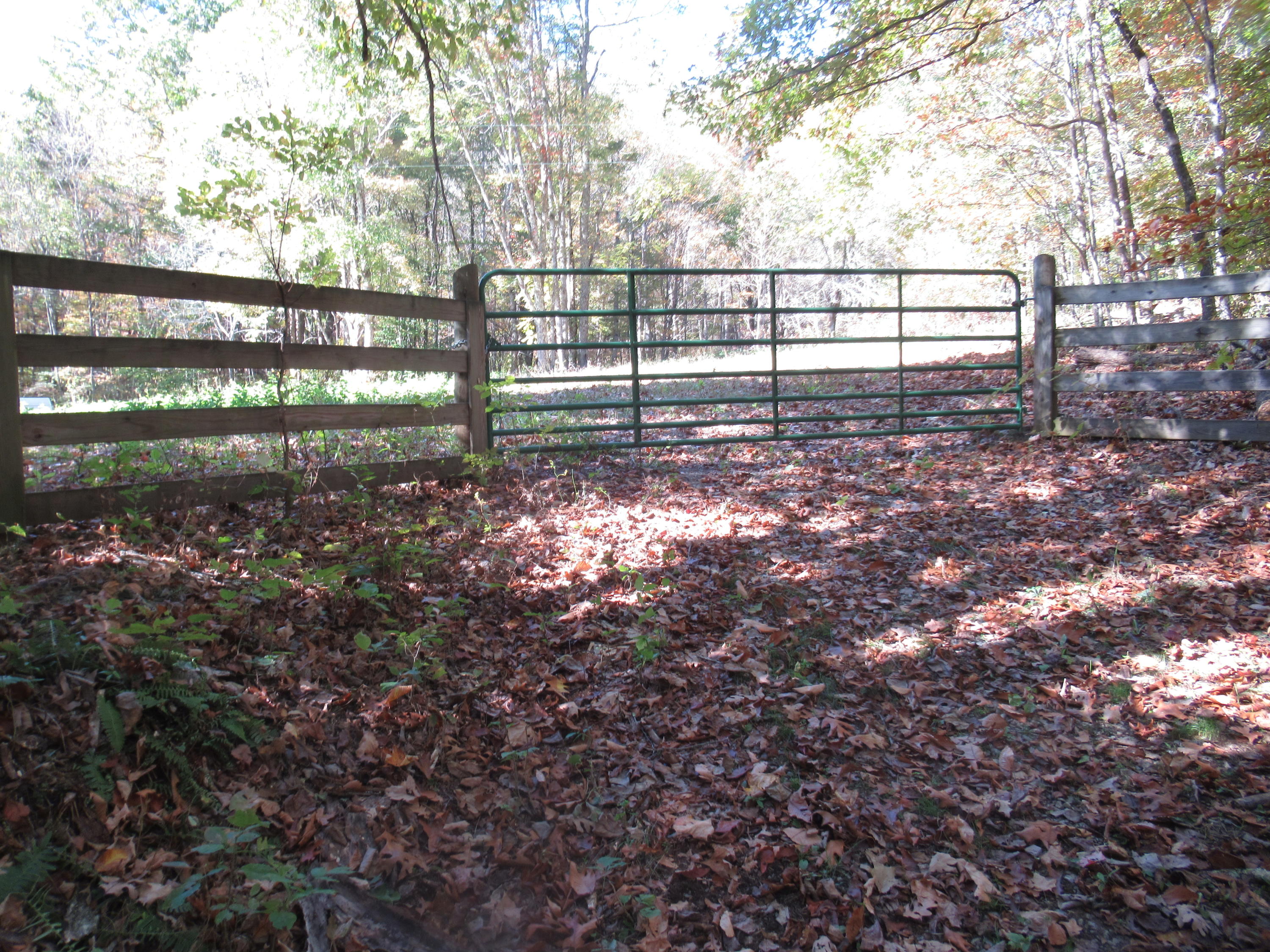 George Ballengee Road Alderson, WV 24910 - Photo 17 of 17 Gallery Image 17