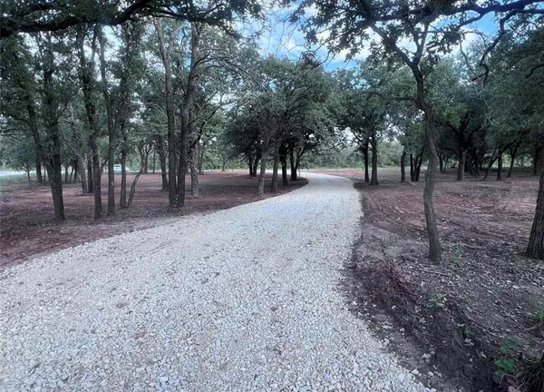 a view of a forest with trees