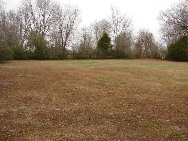 49 Short Road Morrison, TN 37357 - Photo 4 of 17
