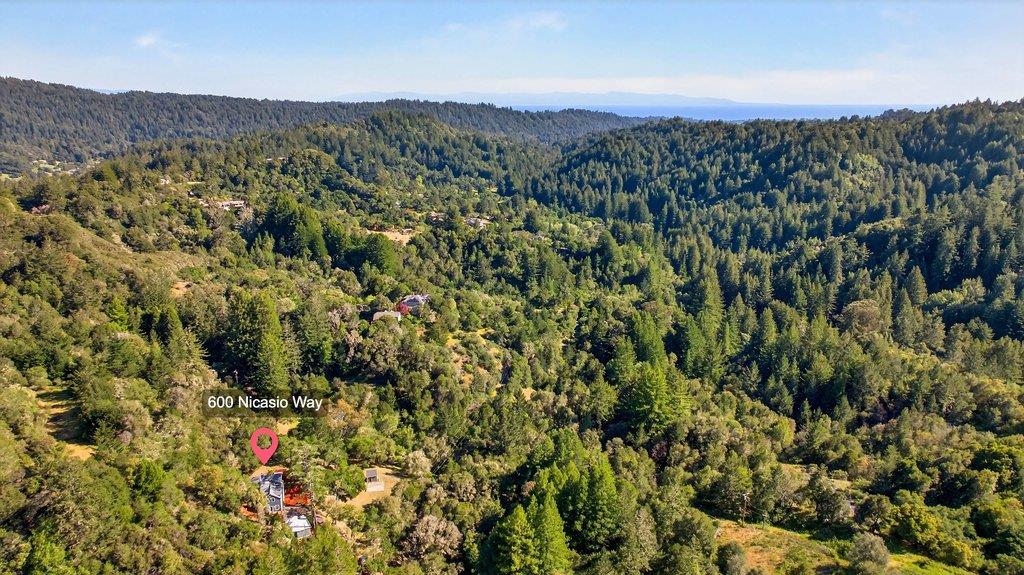 600 Nicasio Way Soquel, CA 95073 - Photo 44 of 47 a view of a city with lush green forest