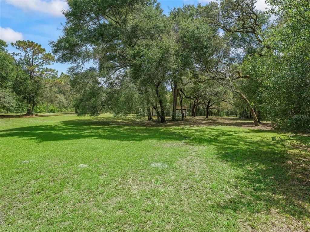 11765 Southwest 47 Drive Webster, FL 33597 - Photo 4 of 32