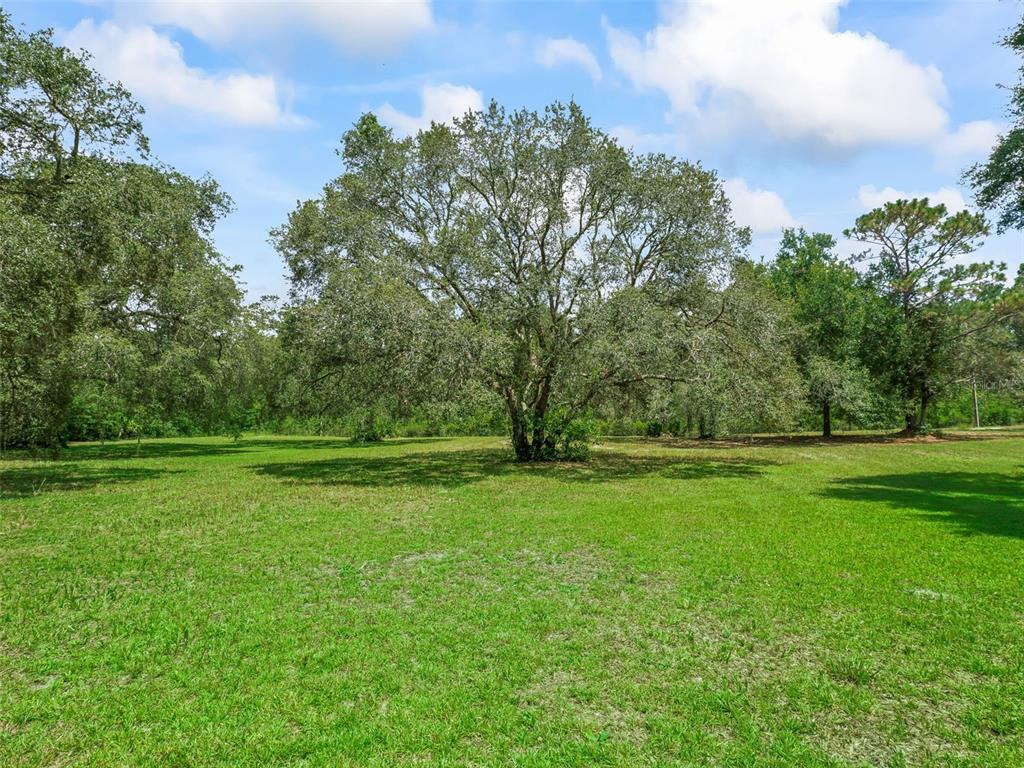 11765 Southwest 47 Drive Webster, FL 33597 - Photo 5 of 32