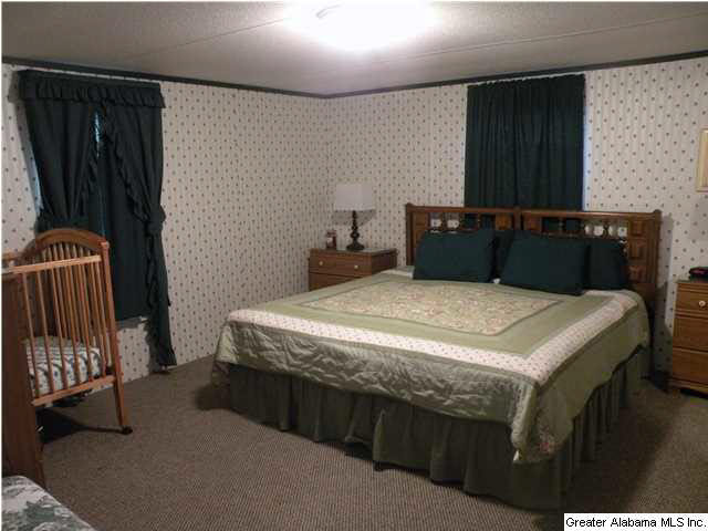 445 Reed Road Ashville, AL 35953 - Photo 9 of 17