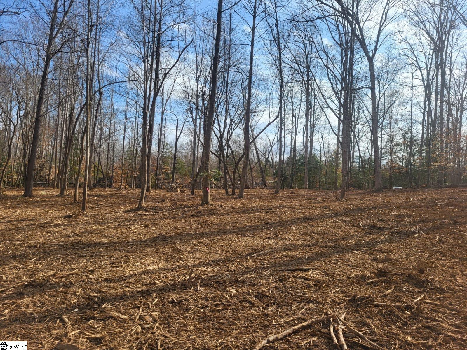 861 Williams Road Pelzer, SC 29669 - Photo 3 of 8