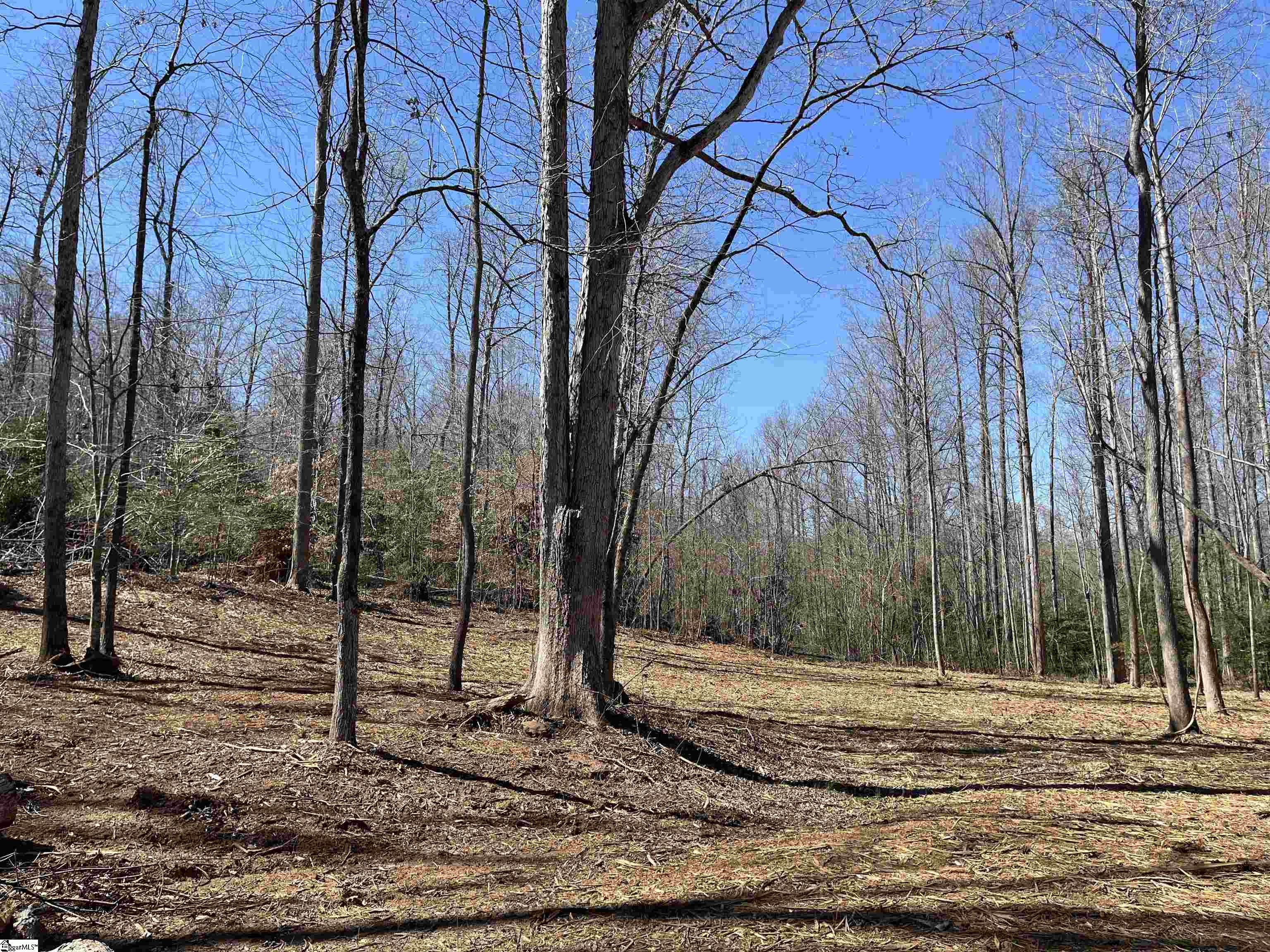 861 Williams Road Pelzer, SC 29669 - Photo 4 of 8