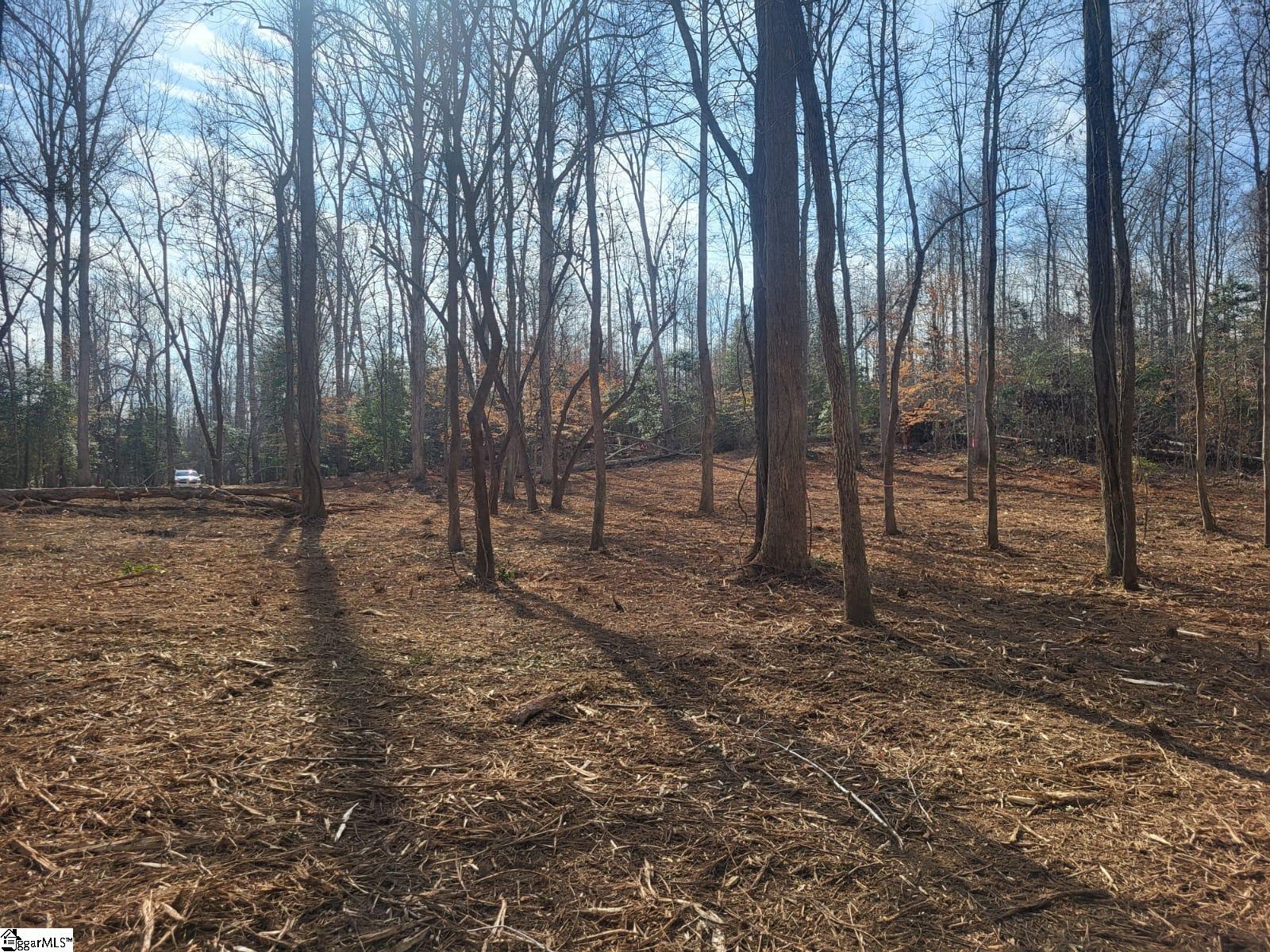 861 Williams Road Pelzer, SC 29669 - Photo 5 of 8