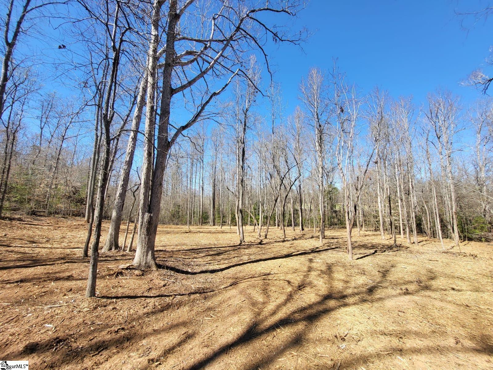 861 Williams Road Pelzer, SC 29669 - Photo 7 of 8