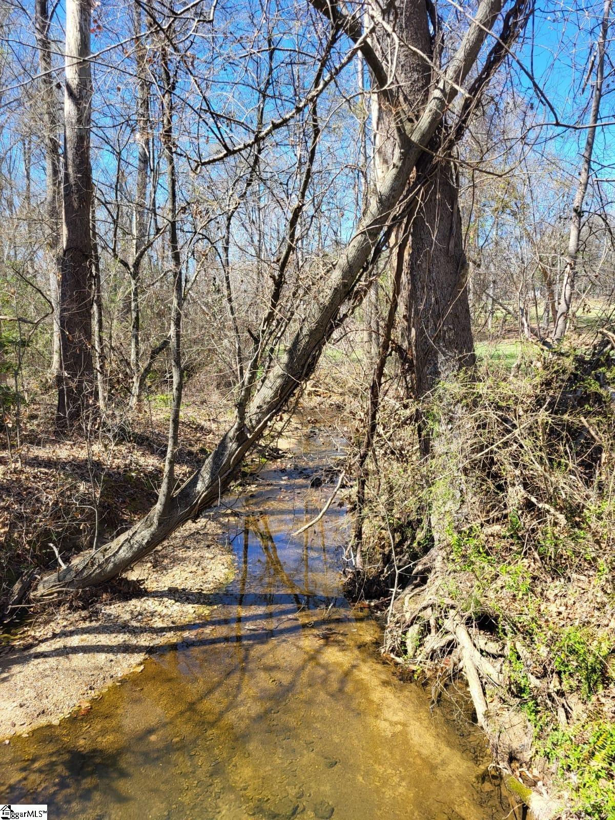 861 Williams Road Pelzer, SC 29669 - Photo 8 of 8