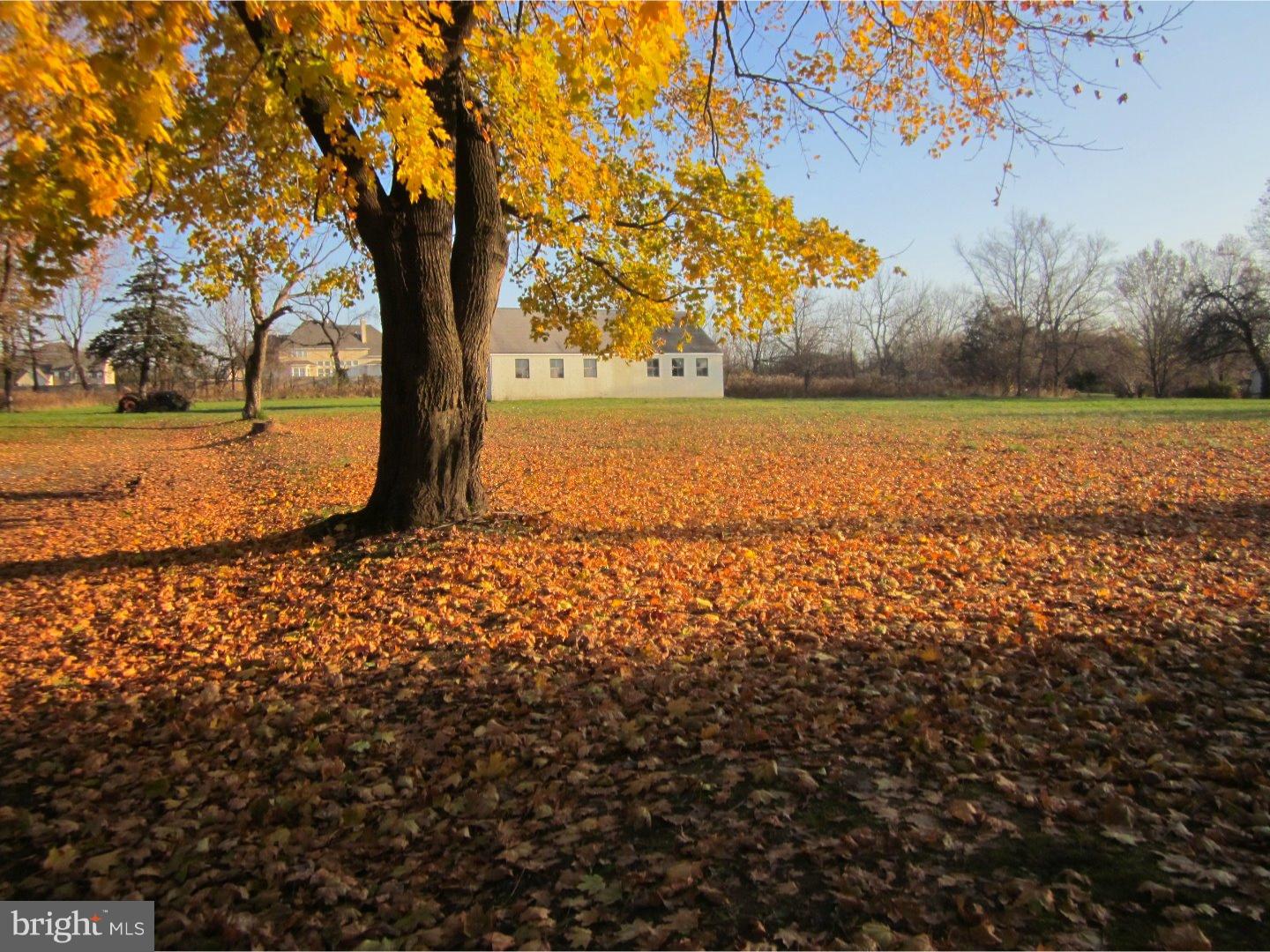 788 Swamp Road Newtown, PA 18940 - Photo 3 of 19