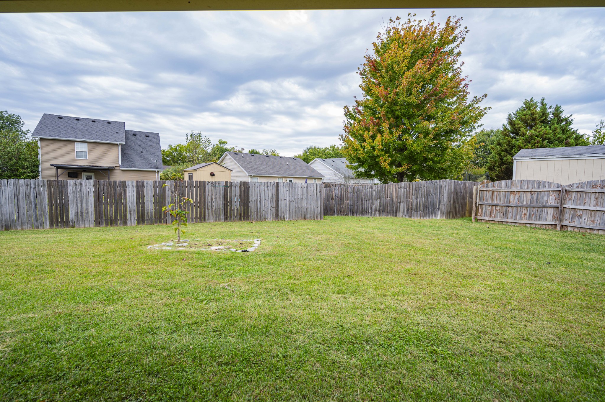 1324 Macduff Drive Murfreesboro, TN 37128 - Photo 12 of 35 a view of a back yard