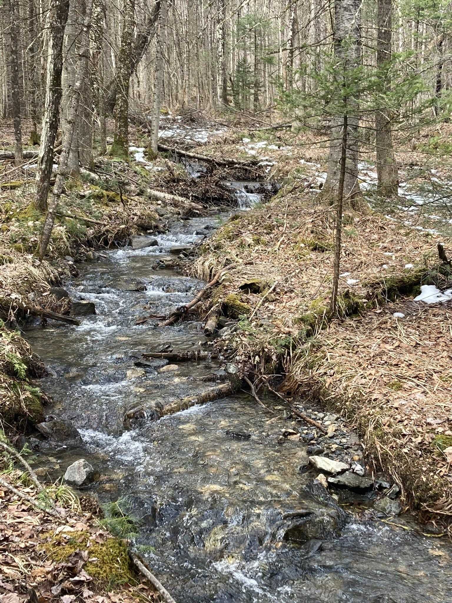 344 Faraway Road Dalton, NH 03598 - Photo 31 of 40