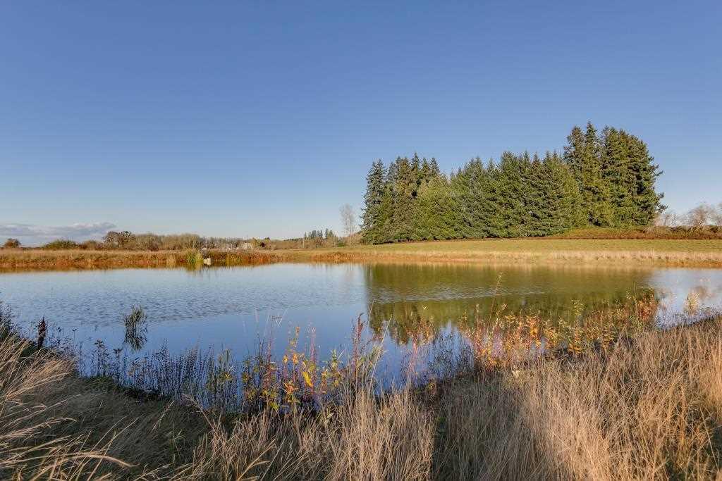 26730 High Pass Road Junction City, OR 97448 - Photo 4 of 31 MLS 4