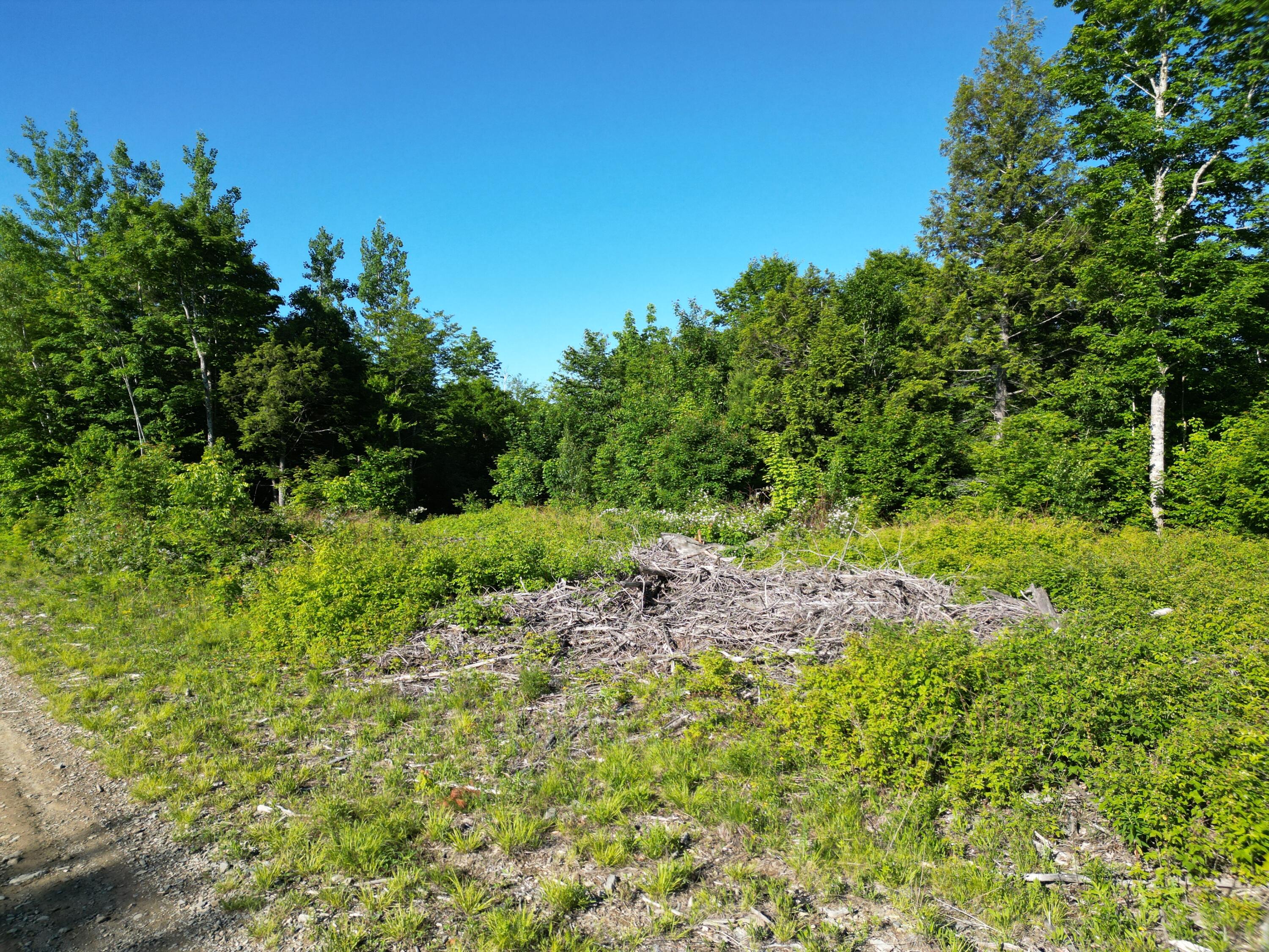 Lot 2 Bear Lane Springfield, ME 04487 - Photo 3 of 16 DJI_0725