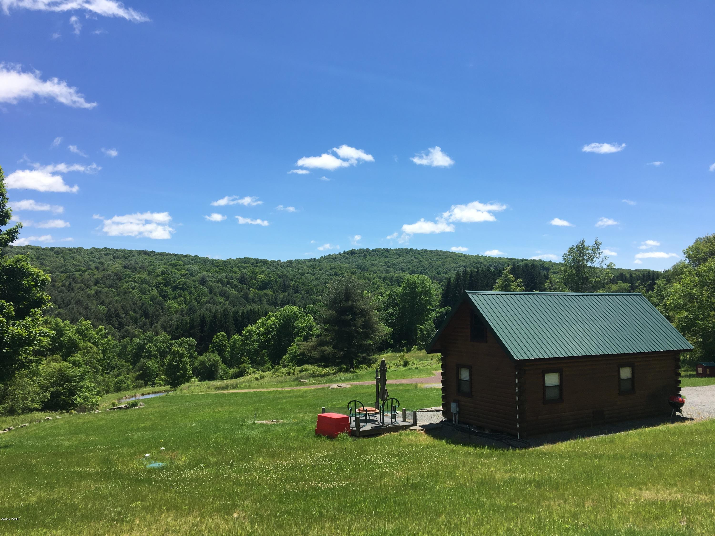1199 Pine Mill Road Equinunk, PA 18417 - Photo 3 of 27