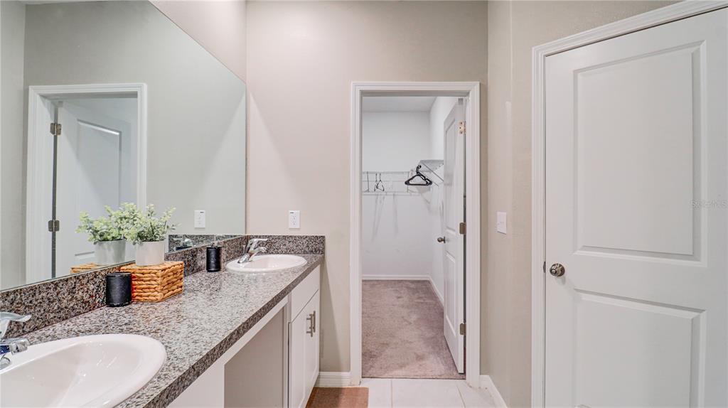 31632 Blue Passing Loop Wesley Chapel, FL 33545 - Photo 32 of 48 a bathroom with a granite countertop sink and a mirror
