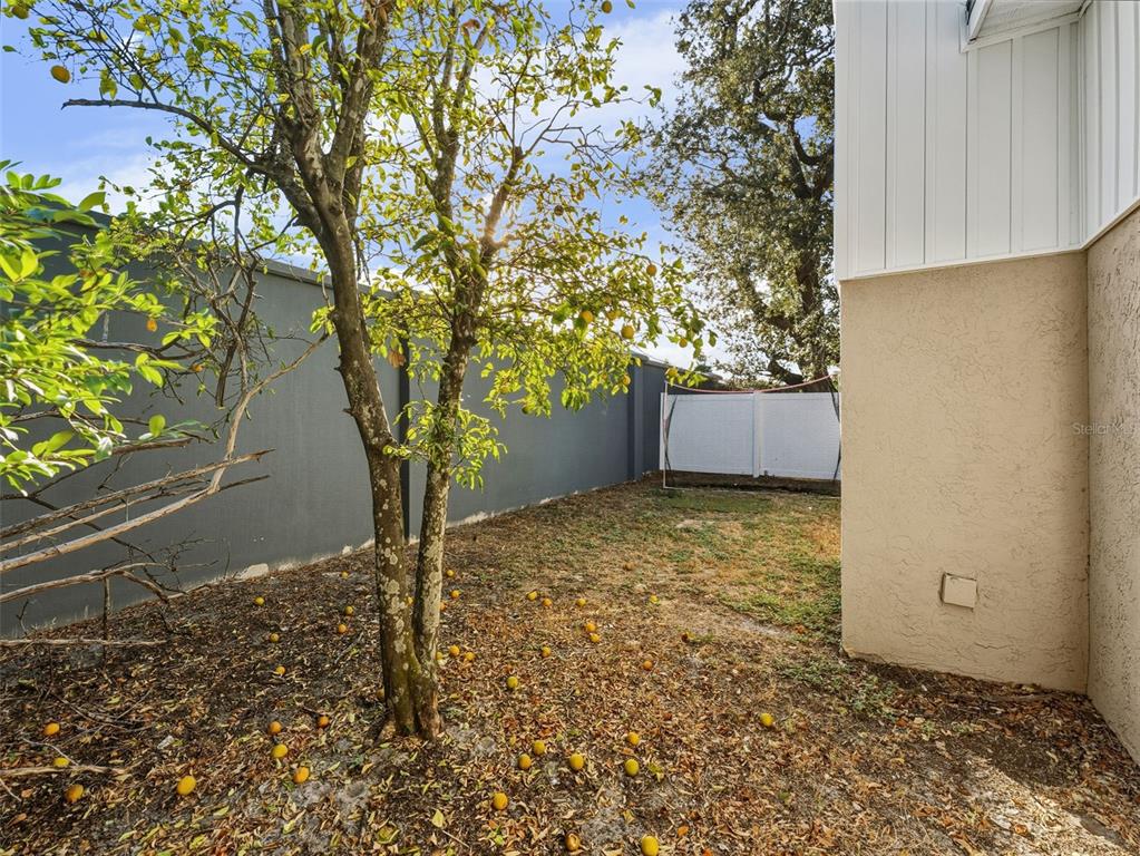 4016 West Nassau Street Tampa, FL 33607 - Photo 29 of 34