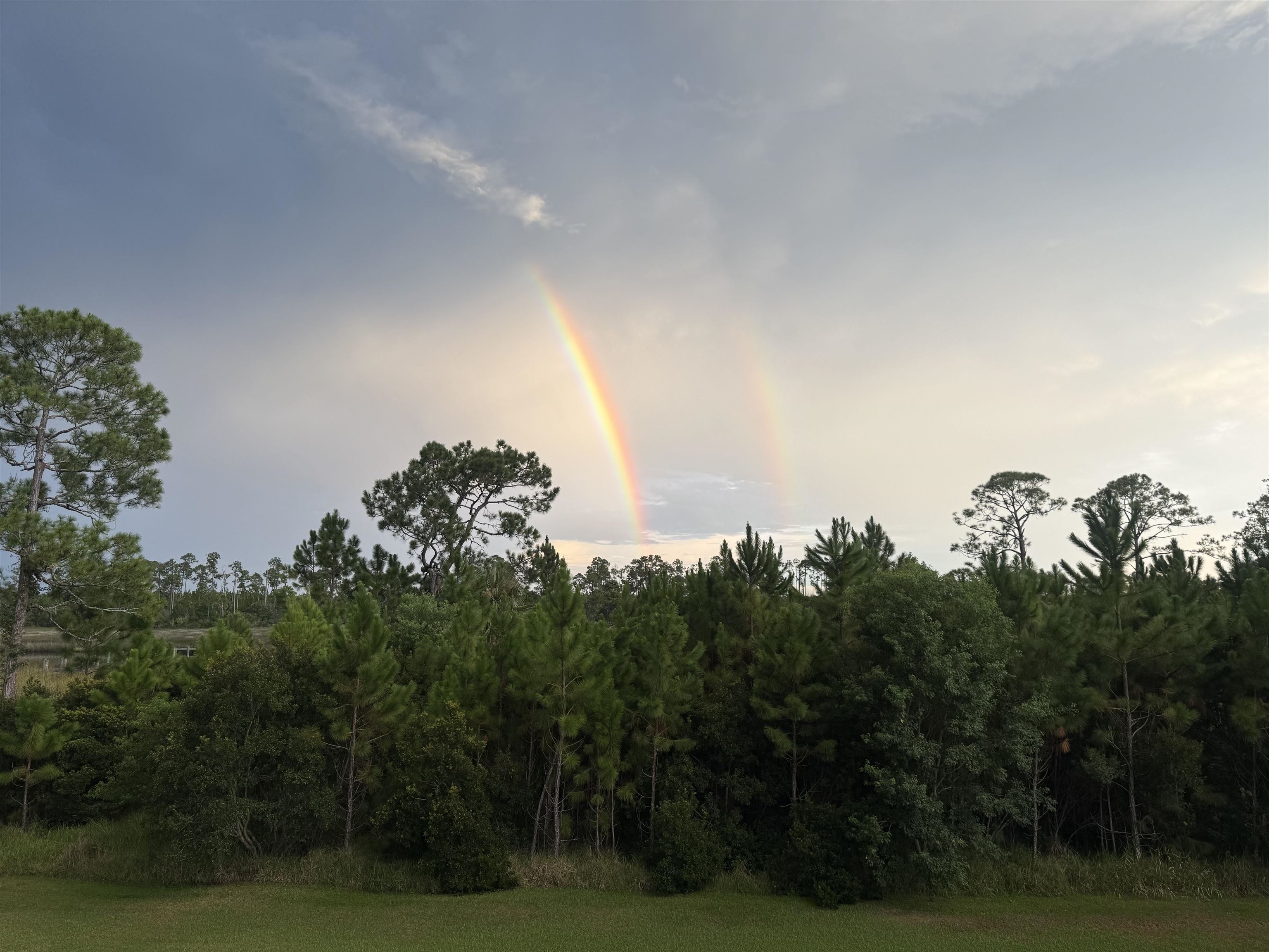 825 Faver Dykes Road St. Augustine, FL 32086 - Photo 80 of 82