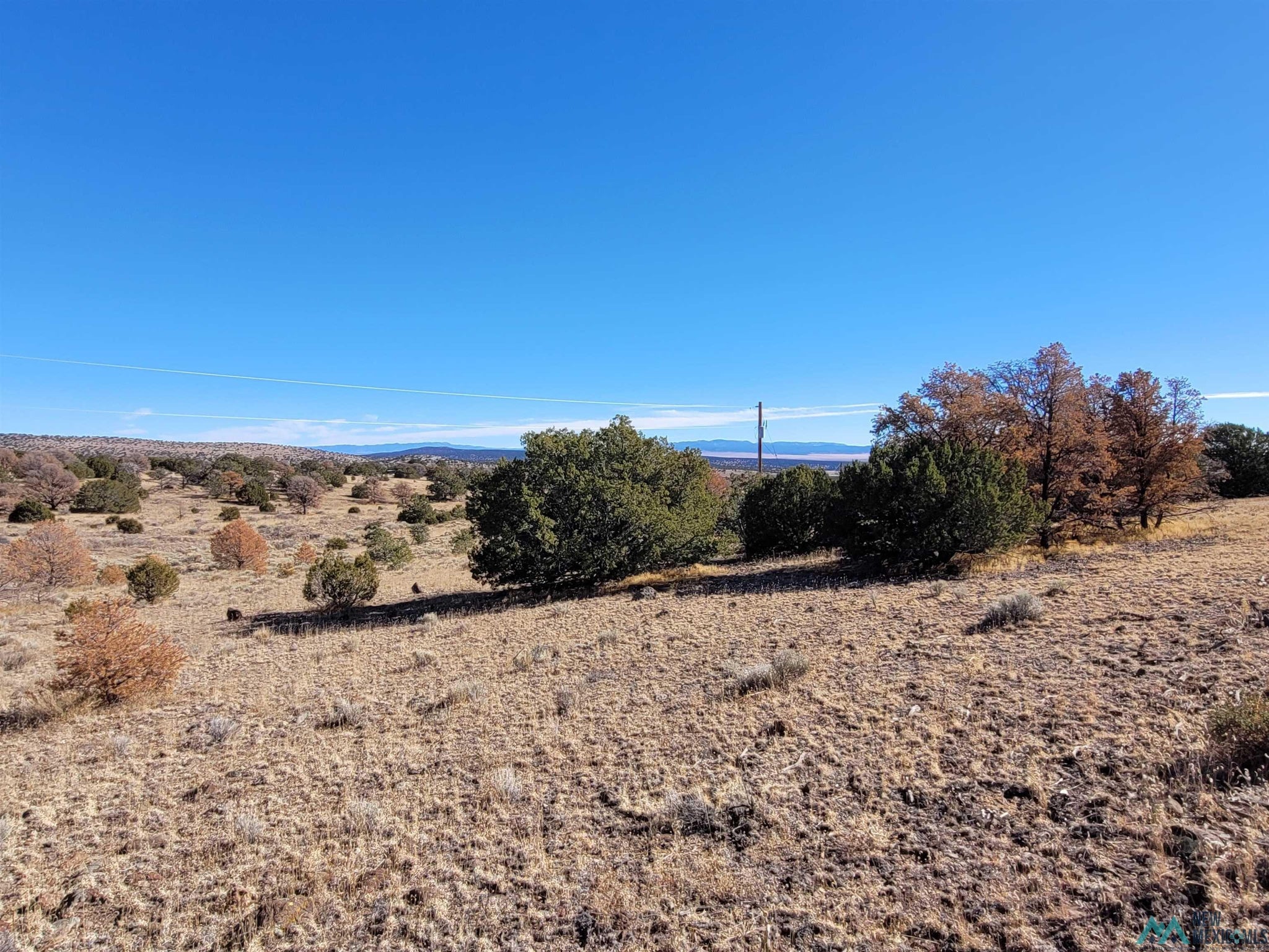 24 Hillside Circle Datil, NM 87821 - Photo 41 of 55 Gallery Image 41