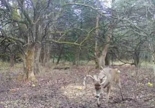 $2,600,000 | 0 County Road 1077 N/a, Parker, KS 66072