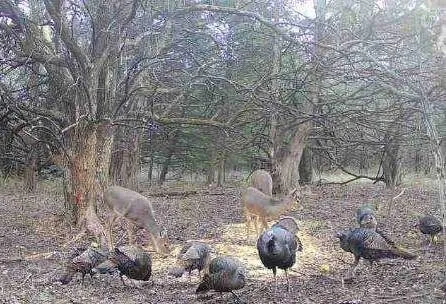 $2,600,000 | 0 County Road 1077 N/a, Parker, KS 66072