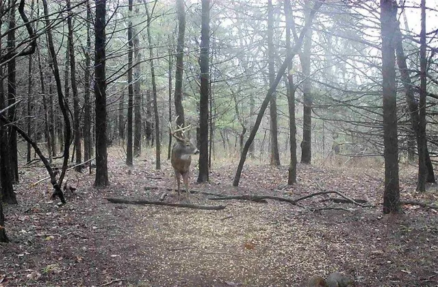 $2,600,000 | 0 County Road 1077 N/a, Parker, KS 66072