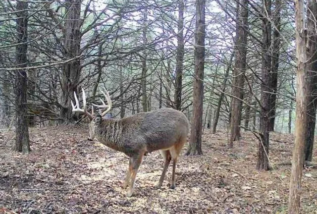 $2,600,000 | 0 County Road 1077 N/a, Parker, KS 66072