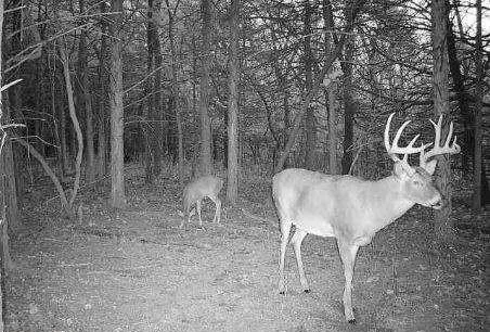 $2,600,000 | 0 County Road 1077 N/a, Parker, KS 66072