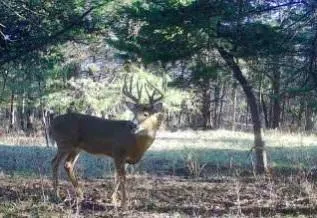 $2,600,000 | 0 County Road 1077 N/a, Parker, KS 66072