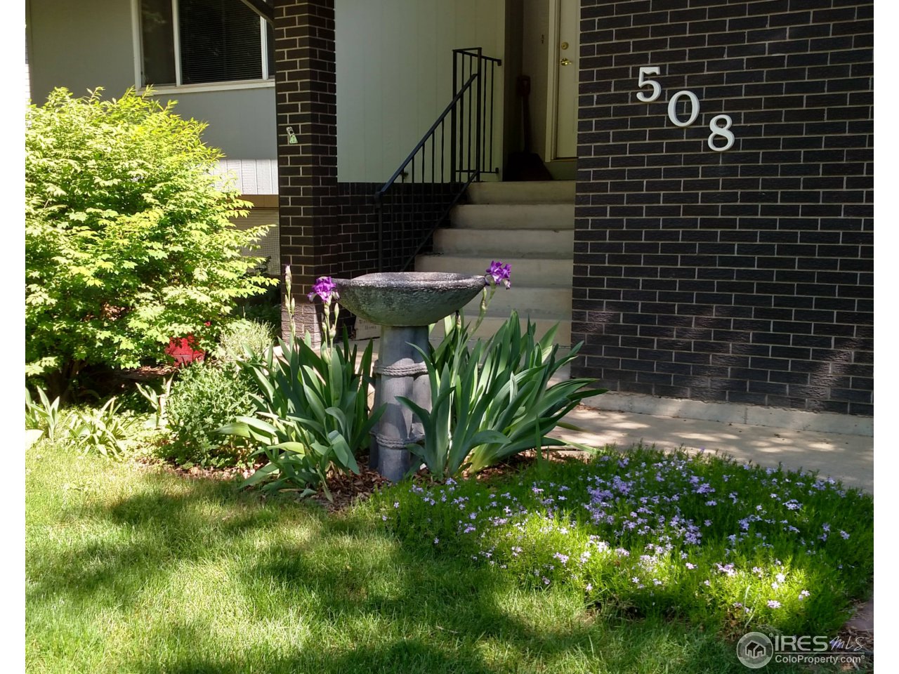 508 Del Clair Road Fort Collins, CO 80525 - Photo 4 of 22 Gallery Image 4