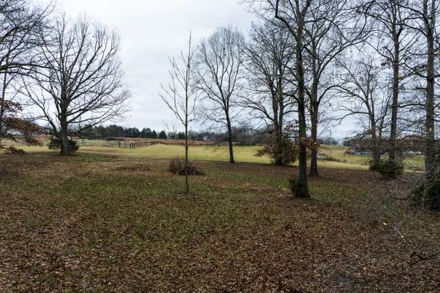 a view of outdoor space with lots of trees